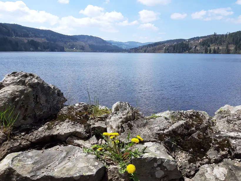Spare day: Basel or Black Forest (Ascension)